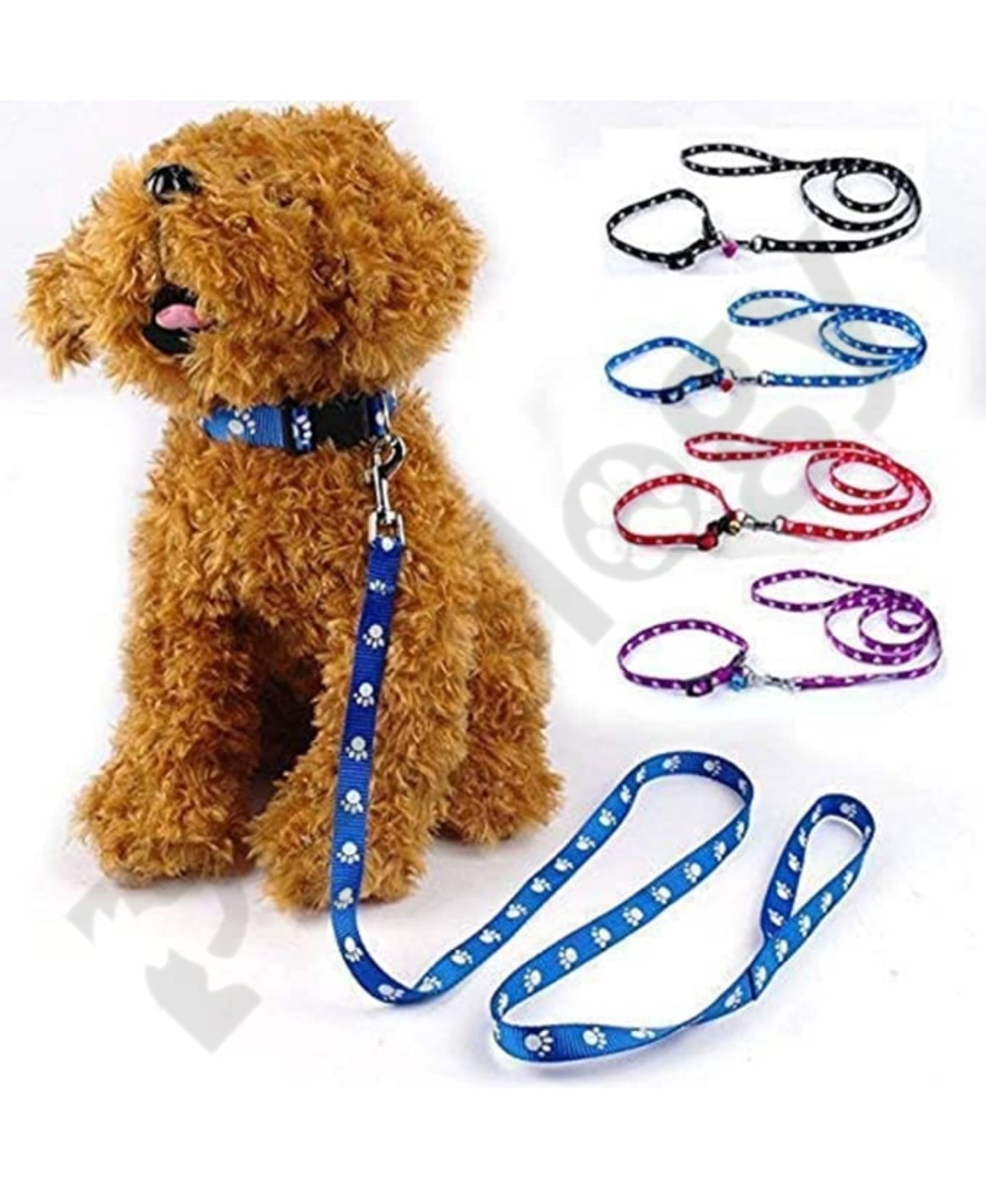 Paw Paw Stylish & Durable 15 MM Dog Collar and Leash Set Puppy Printed Adjustable Nylon Collar with Leash, Collar Leash Set for Puppies, Dog & Cat