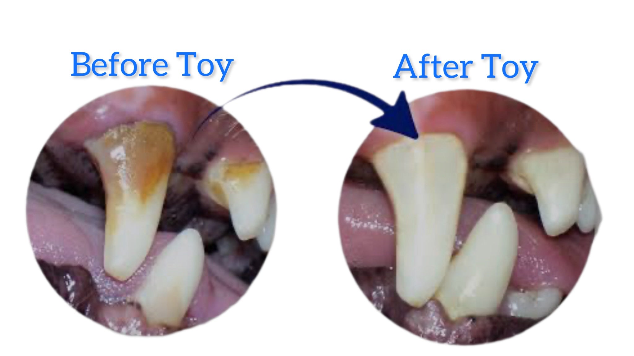 Before and after comparison of teeth with dental issues, showing a toothbrush cleaning action.