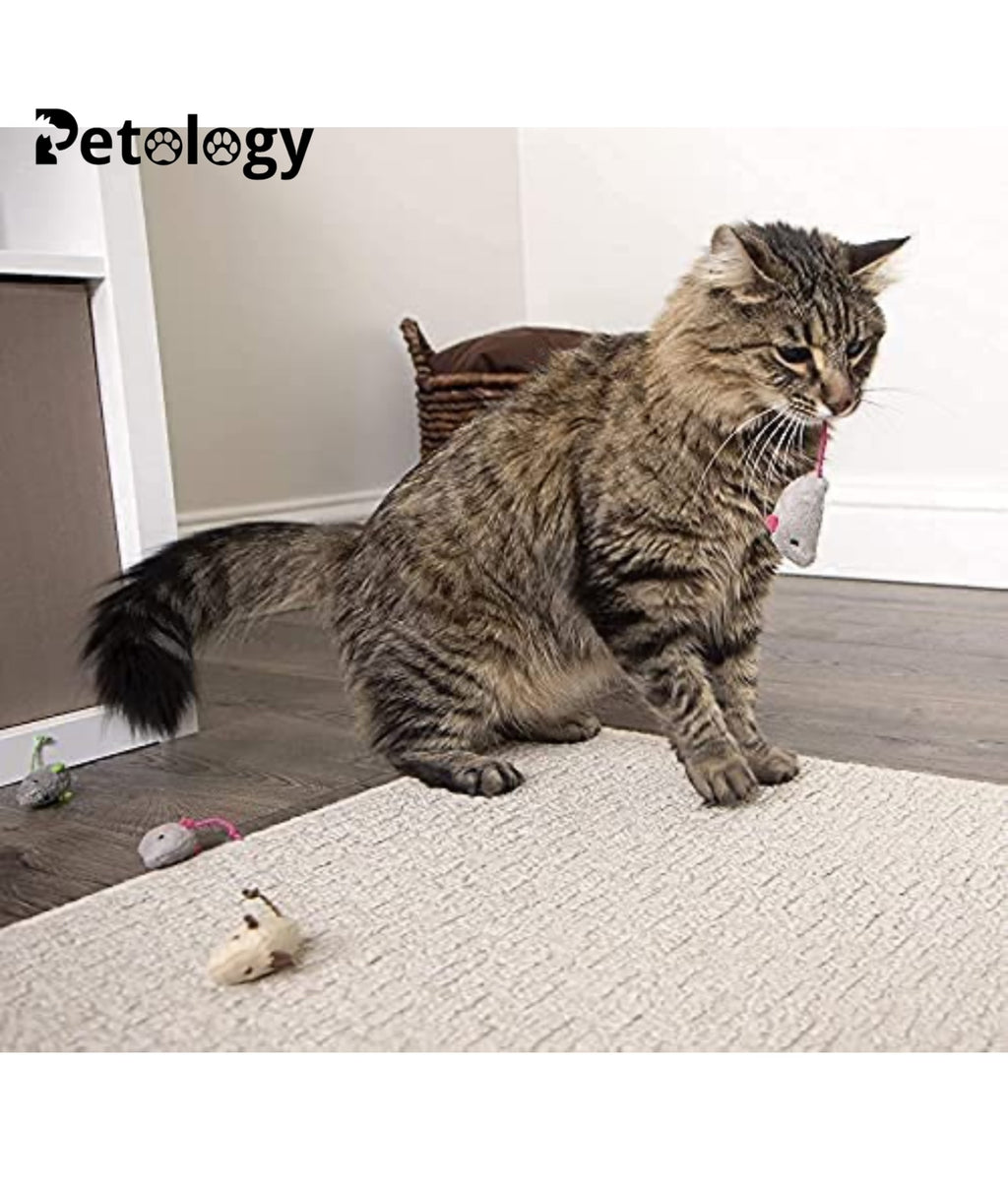 MEOW MEOW Fun Plush Cat Hunting Mouse Toys, Bite Proof , Interactive Mice Plush, Kitten Playing Rat, Soft Mouse , Kittens - 3Pcs (Color May Vary)