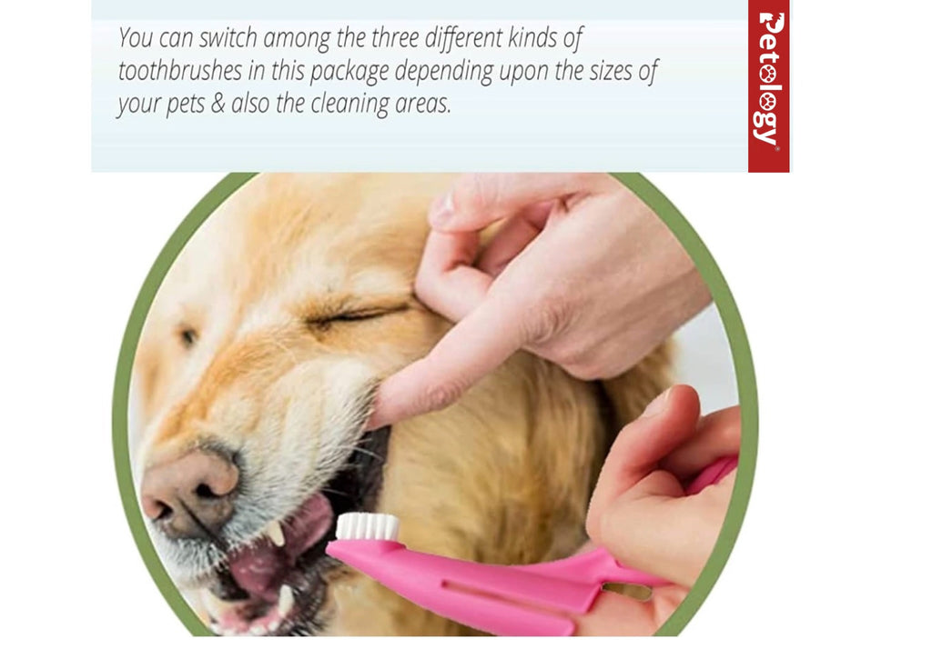 HiHygiene Ultra soft 2-in-1 Tooth brush designed for all kinds Dog breeds small,medium,Large & Extra large size Dogs easy to use glide through brush with better grip enhanced oral care of loved ones(Color vary)