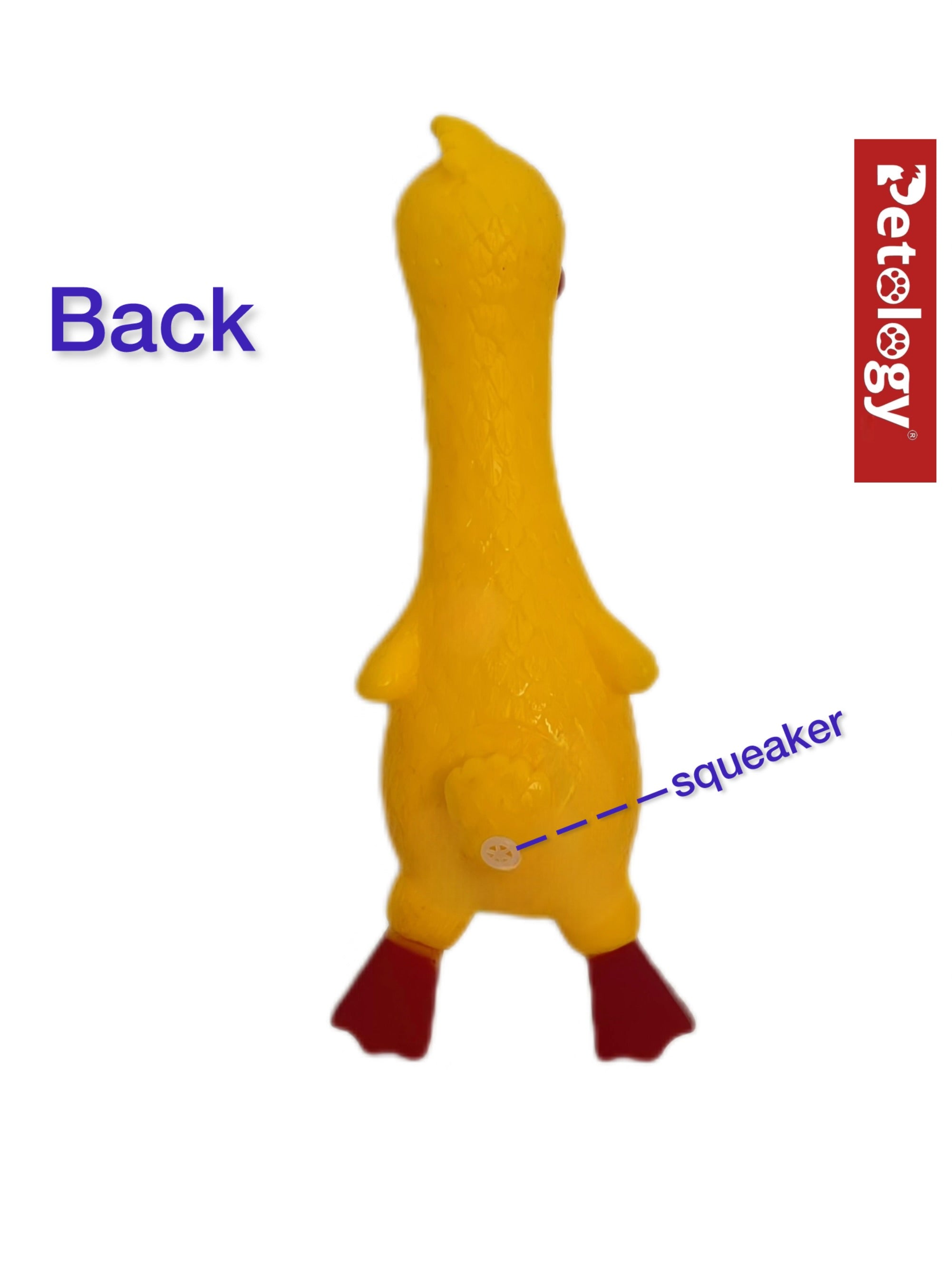 Penny Rubber Duck Squeaky Dog Toys for Small, Medium or Large Pet Breeds, Play Fetch, Reduce Separation Anxiety
