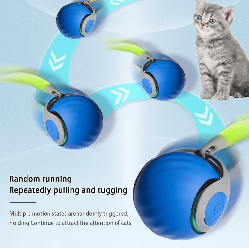 Playpets Exclusive Latest Interactive Toy Ball with touch Motion Activated Dog & Cat Toy, Smart Ball with "C" TYPE Charging, heavy Rotating Roller, Two Speed (All Breed Type)