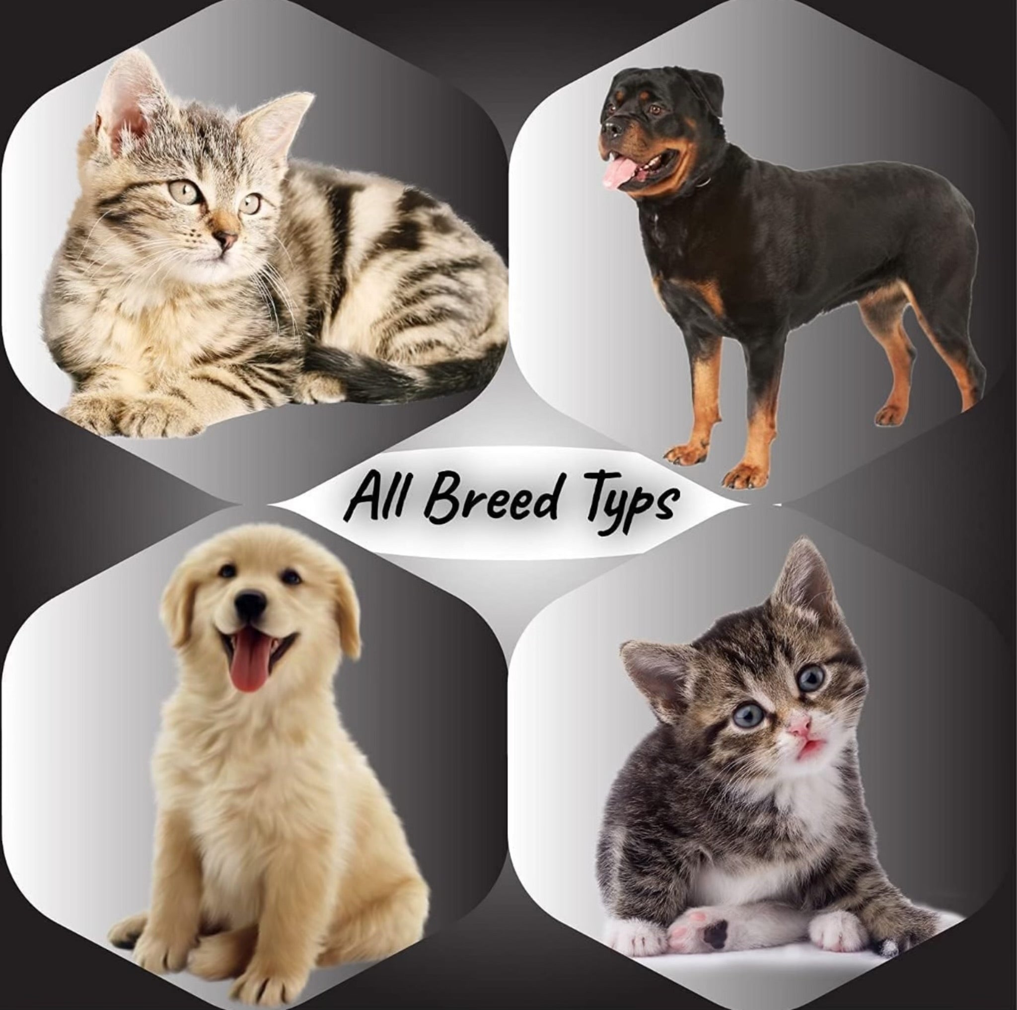 Waterless Cleansing & No Rinse Dry Shampoo for Dogs -300 mL Quick & Easy Dog Dry Shampoo No-Rinse, Skin-Friendly Deodorizing Formula