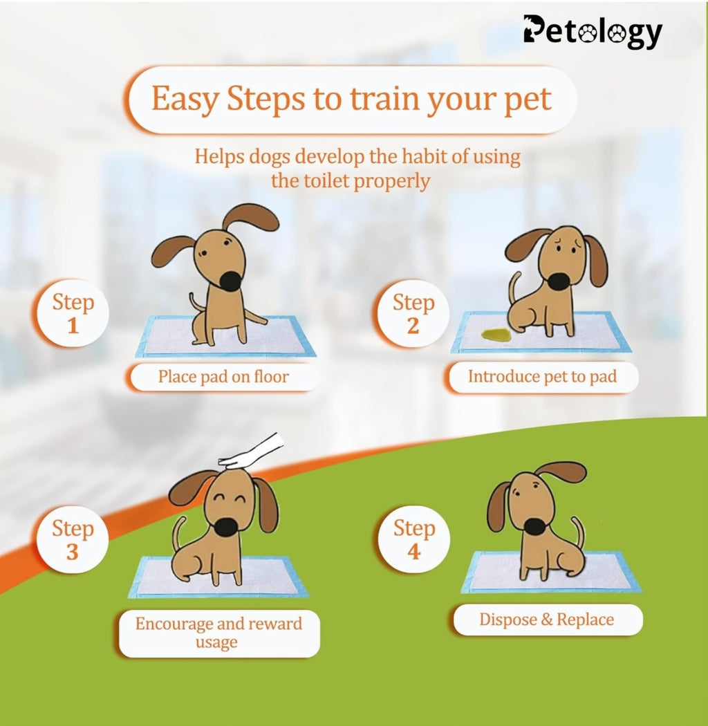 HIHYGIENE Dog Pee Pads 20 Count Potty Training Pads for Dogs, Leak-Proof Protection & Odor Control,Potty Training, Pet Training Pads