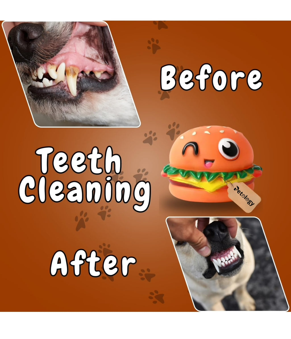 Playpets 100% Latex Burger Squeaky Durable & Interactive Chew Toy for Dogs & Cats ,Fun Squeaker , Solo Play all size Breeds , Dental Health