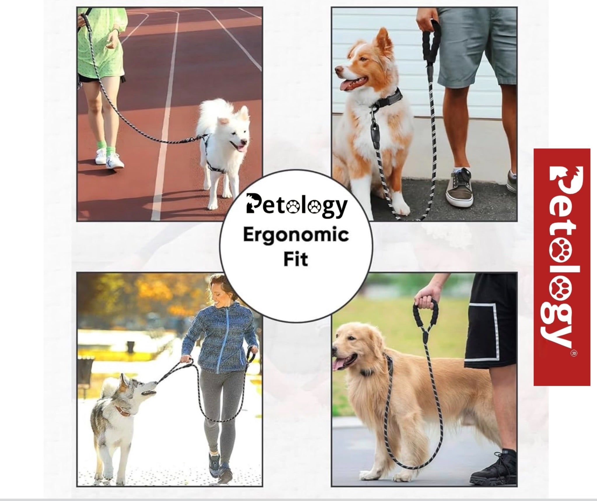 Petology Heavy Duty Nylon Dog Leash Anti Slip Padded Handle Long Highly Reflective Dog Rope for Medium & Large Dogs Training Leash (Black, 5 & 6.5 Feet Long)