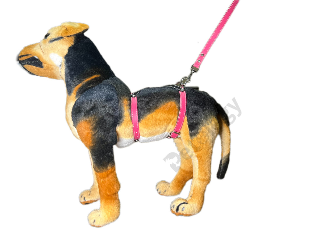 PETOLOGY Vegan leather premium (  any 2 set)with leash, puppy vest harness soft breathable,handle adjustable straps & comfy Buckle, No-Choke with Leash- 12 mm , 2-13 Kg for medium to small