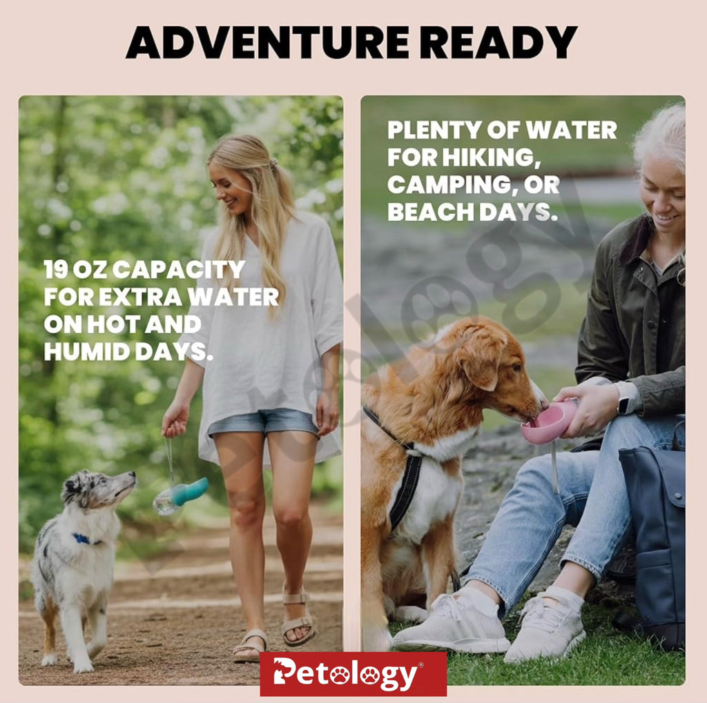 PawPets everyday life Dog, Cat and Rabbit, Sturdy hold, Leak Proof, Travel safe Water BPA-FREE, bottle and Dispenser with Drinking Feeder for Pets ON THE GO like Hiking, Travel,  safe food Grade Plastic (550ml, Blue)