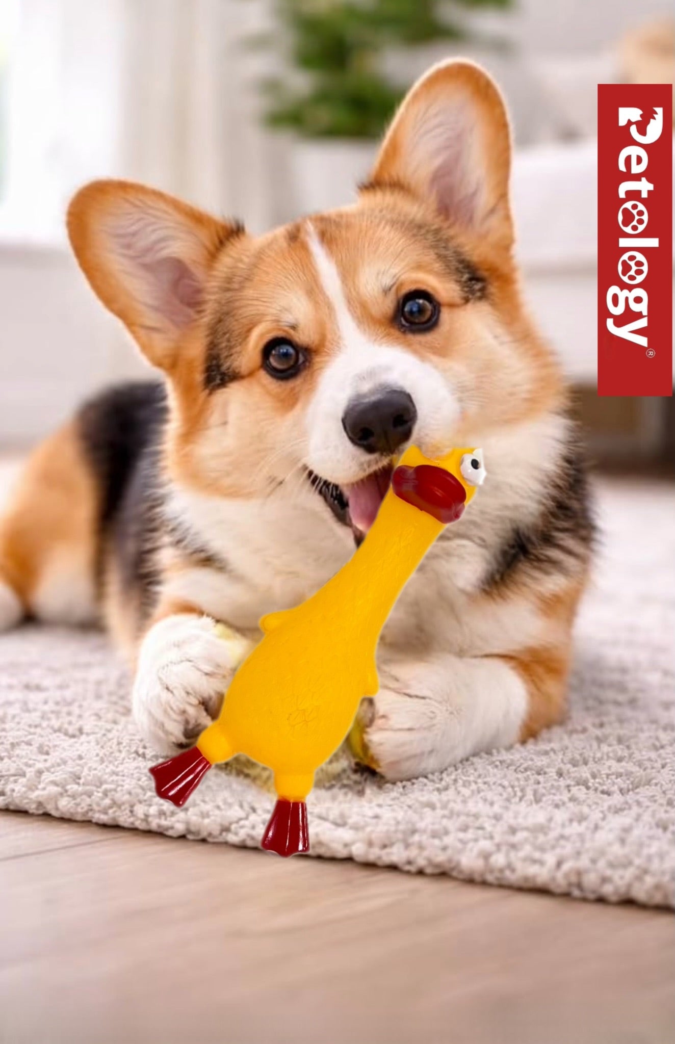 Penny Rubber Duck Squeaky Dog Toys for Small, Medium or Large Pet Breeds, Play Fetch, Reduce Separation Anxiety
