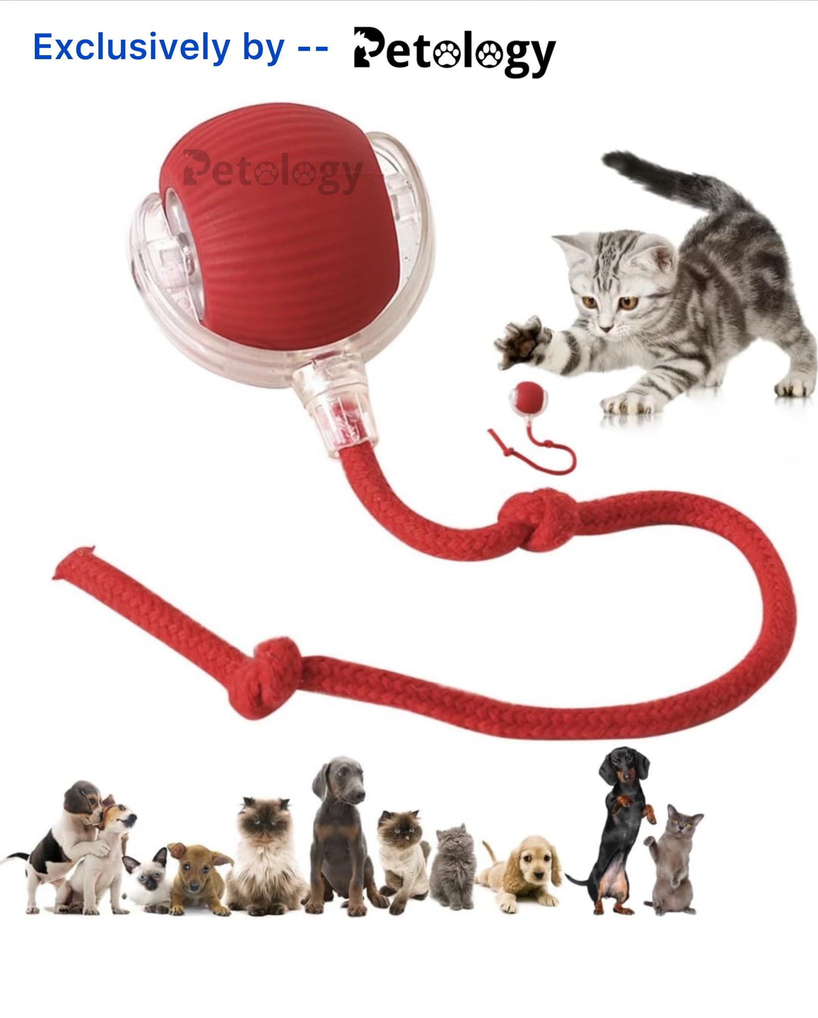 Playpets Most Viral Interactive Rolling Ball Toy for Cats and Dogs 360° Smart Automatic Pet Ball (RED)