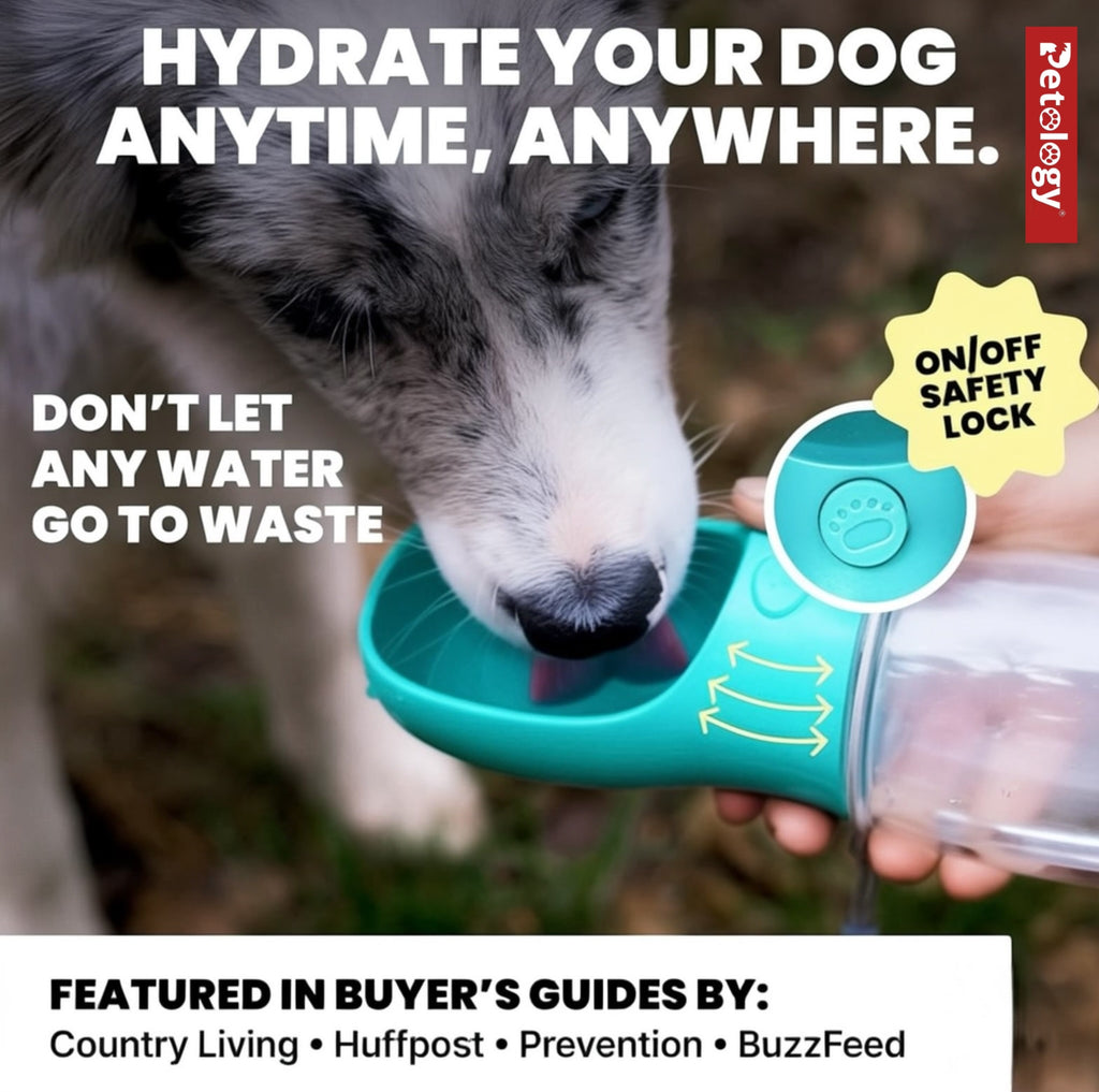 PawPets everyday life Dog, Cat and Rabbit, Sturdy hold, Leak Proof, Travel safe Water BPA-FREE, bottle and Dispenser with Drinking Feeder for Pets ON THE GO like Hiking, Travel,  safe food Grade Plastic (550ml, Blue)