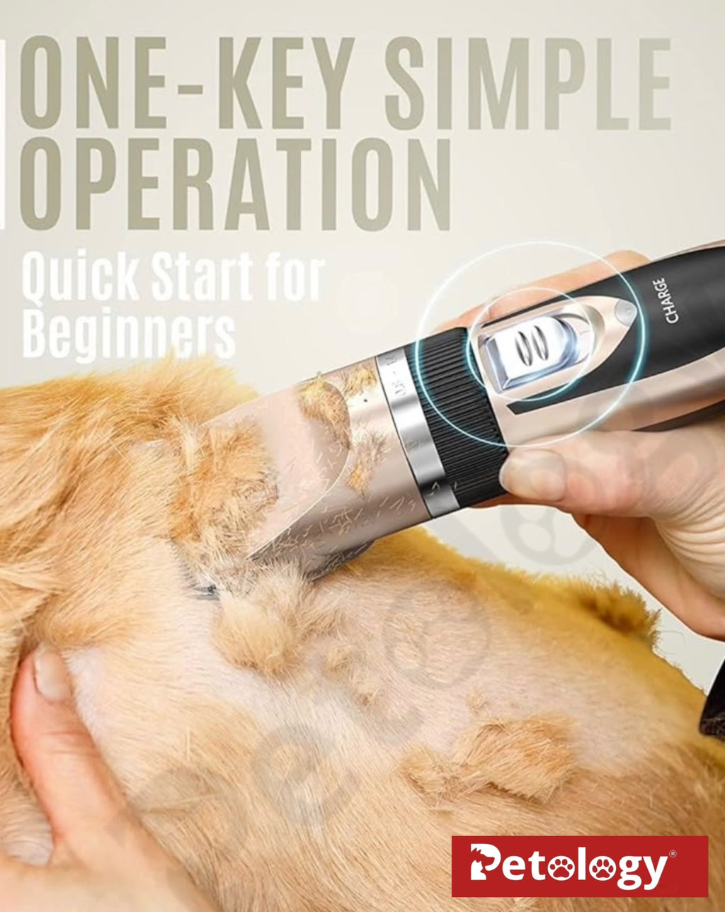 Pawpet Professional pet grooming kit for Dogs & cats Low noise<50dbs, no afraid pets, Powerful upto 1200 MAH Battery & 4 inter-changeable combs for better cut additional steel comb and post trimming palm massager (absolutely free)