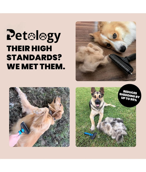 Hihealth Pet Grooming Brush for Dogs/Cats/Rabbits Deshedding Tool & Undercoat Rake Dematting Comb for Mats,Reduces Shedding by Up to 95%,Great for Short to Long Hair Small Large Breeds