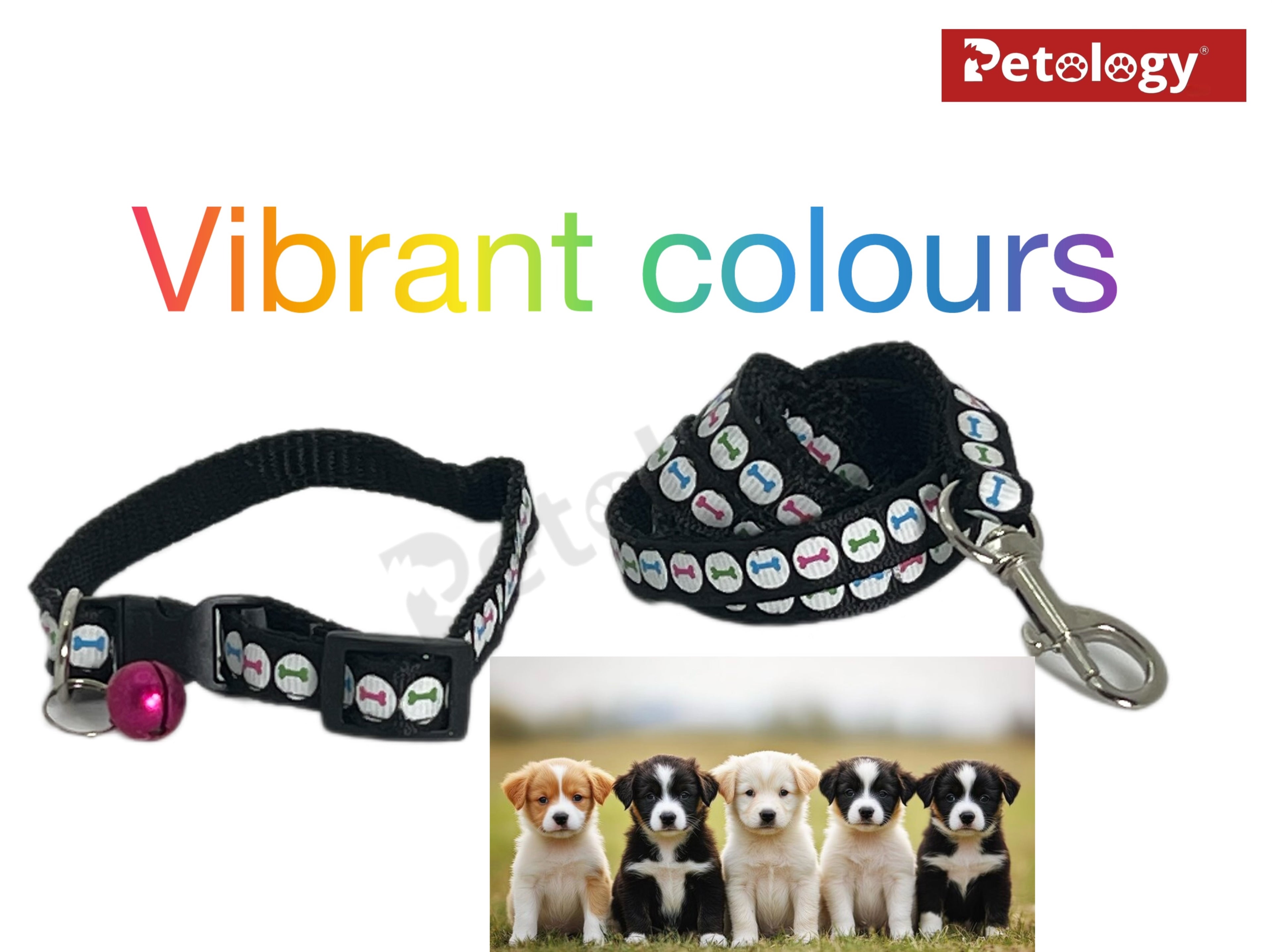 PawPet Unique Stylish & Durable 10 MM Dog Collar and Leash Set Puppy Printed Adjustable Nylon Collar with Leash, Collar Leash Set for Puppies, Dog & Cat