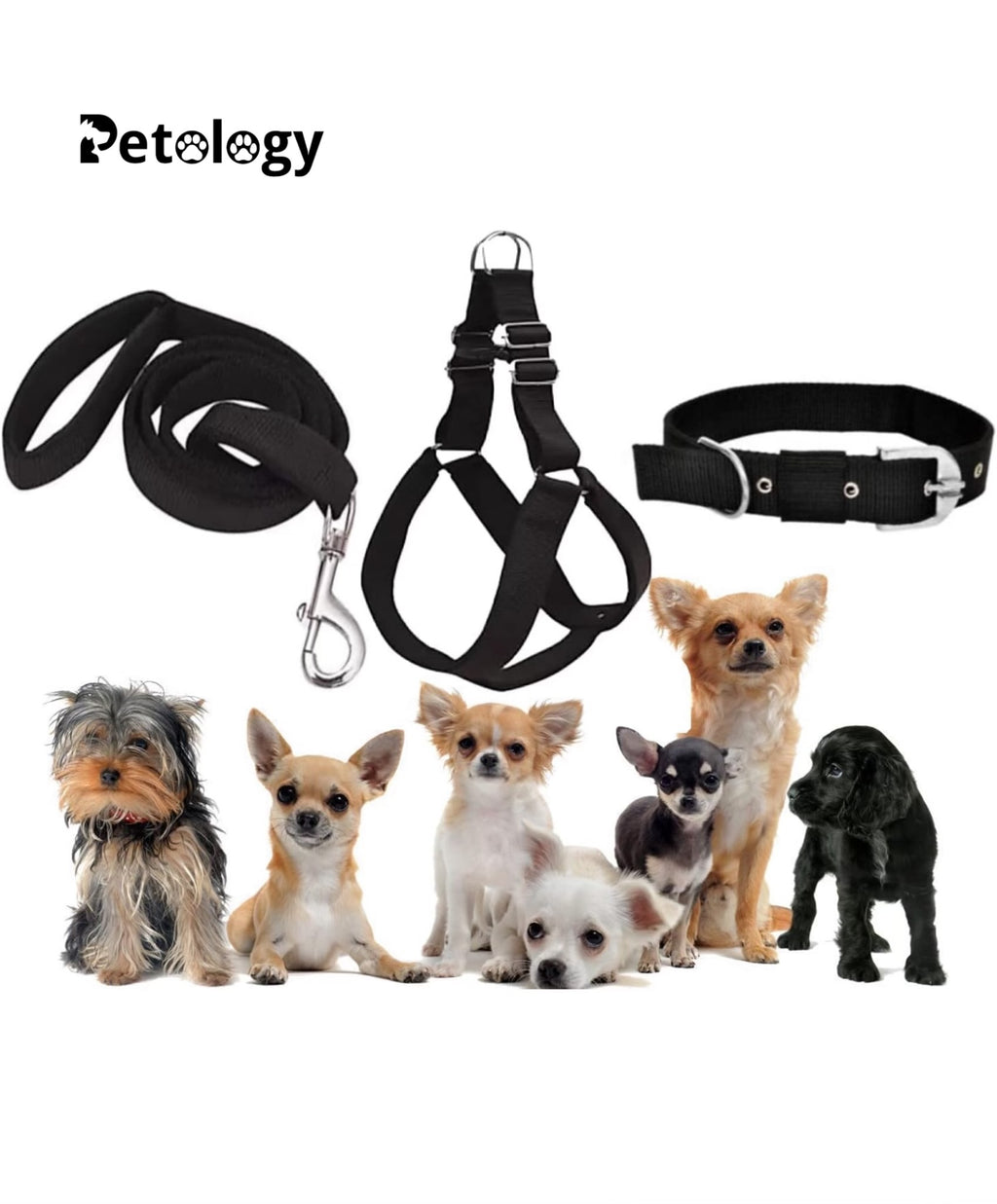 PETOLOGY COMBO(Small,Medium,Large size) No Pull Dog Harness, Collar and Leash Combo Set(Set of 3 pcs) Soft , Adjustable for all breeds, 05 - 45 Kilograms Dogs ( Black)