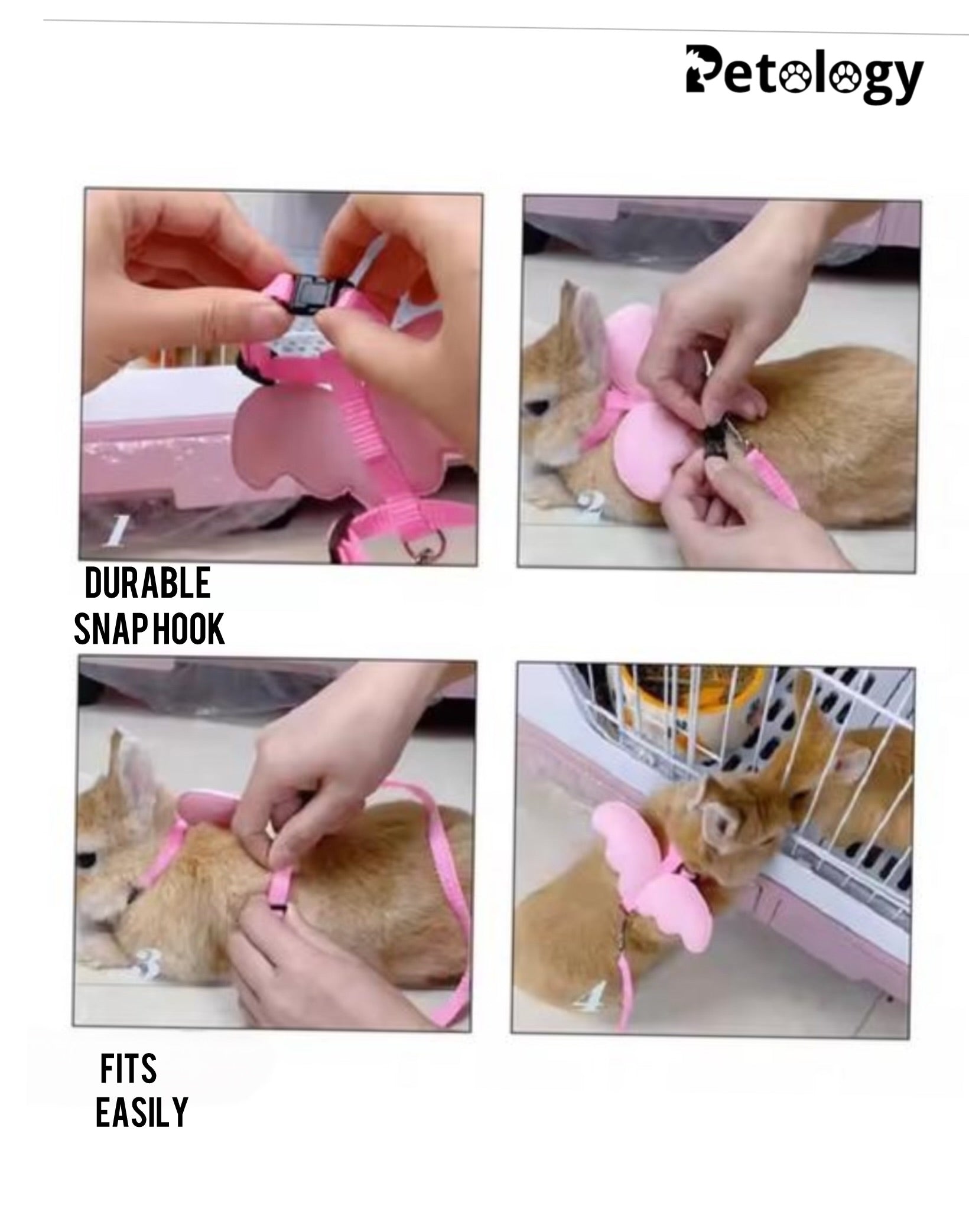 MEOW MEOW Cat, Rabbit harness Set Angel Wings Adjustable Mesh Vest Strap Outdoor Suit Small & Medium Cats, Adjustable Lightweight Designer, Comfortable and Secure Fit - Color May Vary