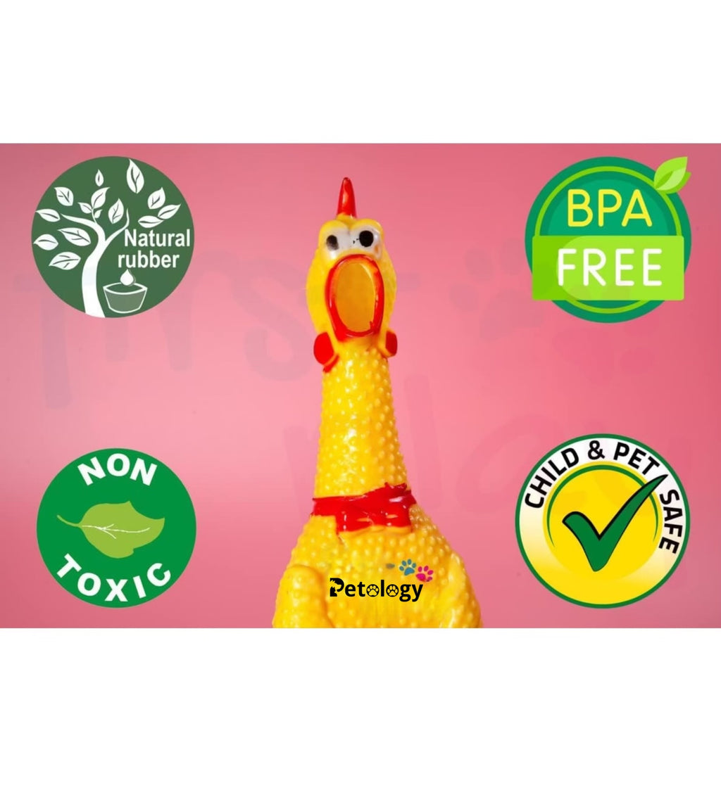 PlayPets Squeaking Combo Chicken, Intelligent Chargeable Ball, Paw Ball & Rubber Squeeze Sleeper Dog Toys Sound,  BPA Free ,Chemical Free,Screaming Toys for Pets,Safe & Non-Toxic  (Pack of 4 pcs)