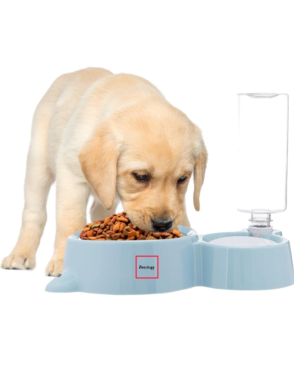 Petology Hihealth 2 In1 Pet Feeder & Automatic Water Dispensing system with stainless steel Food server Suitable for Cats and Dogs (small, medium & Large pets)