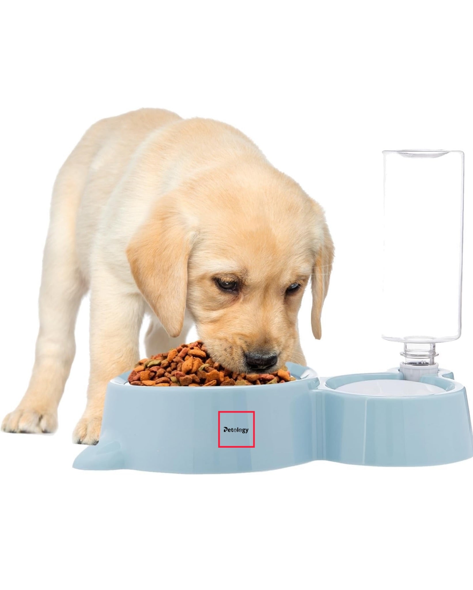 Petology Hihealth 2 In1 Pet Feeder & Automatic Water Dispensing system with stainless steel Food server Suitable for Cats and Dogs (small, medium & Large pets)