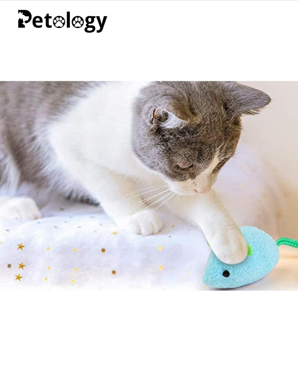 MEOW MEOW Fun Plush Cat Hunting Mouse Toys, Bite Proof , Interactive Mice Plush, Kitten Playing Rat, Soft Mouse , Kittens - 3Pcs (Color May Vary)