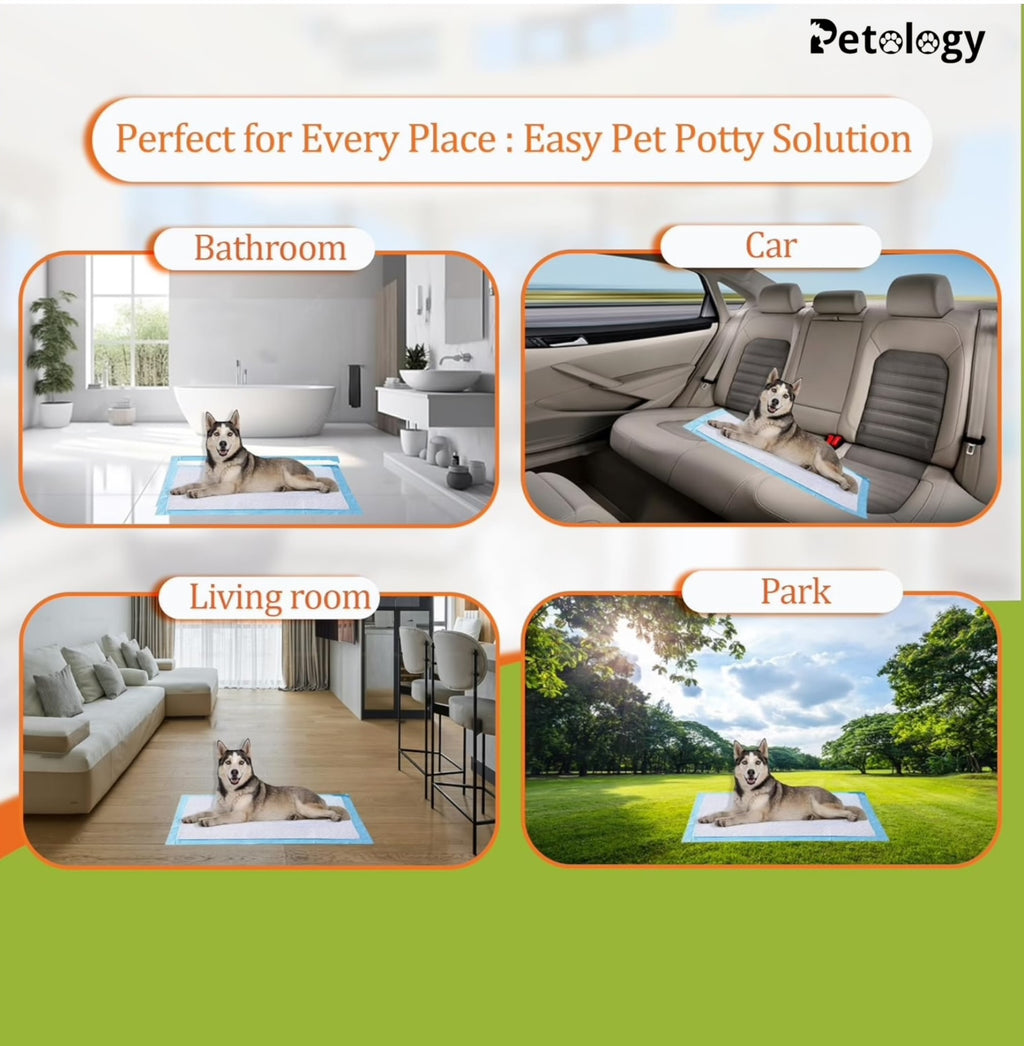 HIHYGIENE Dog Pee Pads 20 Count Potty Training Pads for Dogs, Leak-Proof Protection & Odor Control,Potty Training, Pet Training Pads