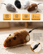 6-in-1 Cat Toy Combo Keep Your Cat Happy Active and Entertained Ultimate Playtime Bundle for Curious Cats