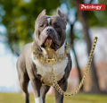 Superior quality Gold plated Dog chain diamond cut Cuban design long lasting,solid metal