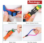 PAWPET Rainbow color No escape harness and Rope Leash adjustable Set, for Cats and Dogs (12 MM & 15 MM Set)