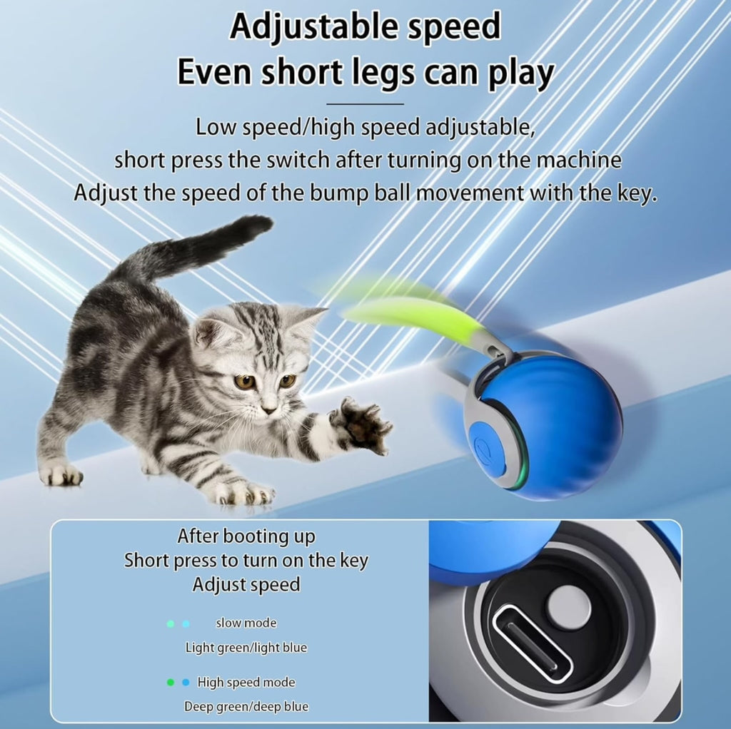 Playpets Exclusive Latest Interactive Toy Ball with touch Motion Activated Dog & Cat Toy, Smart Ball with "C" TYPE Charging, heavy Rotating Roller, Two Speed (All Breed Type)