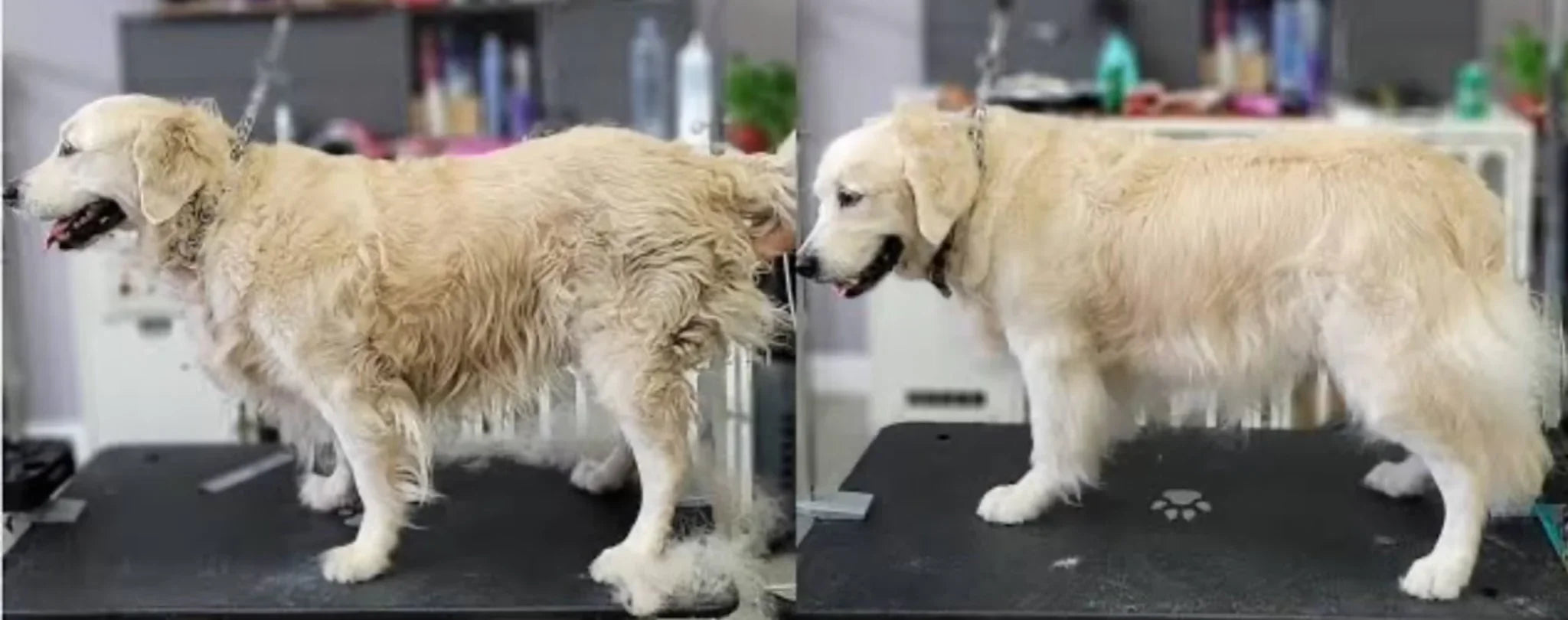 Hi Health COMBO 3 pcs Self Cleaning Slicker Shedding Brush ,Pet Bath Massage Brush With Soap & Shampoo Dispenser Soft Silicone Bristle For Long Short Haired Dogs Cats Shower.