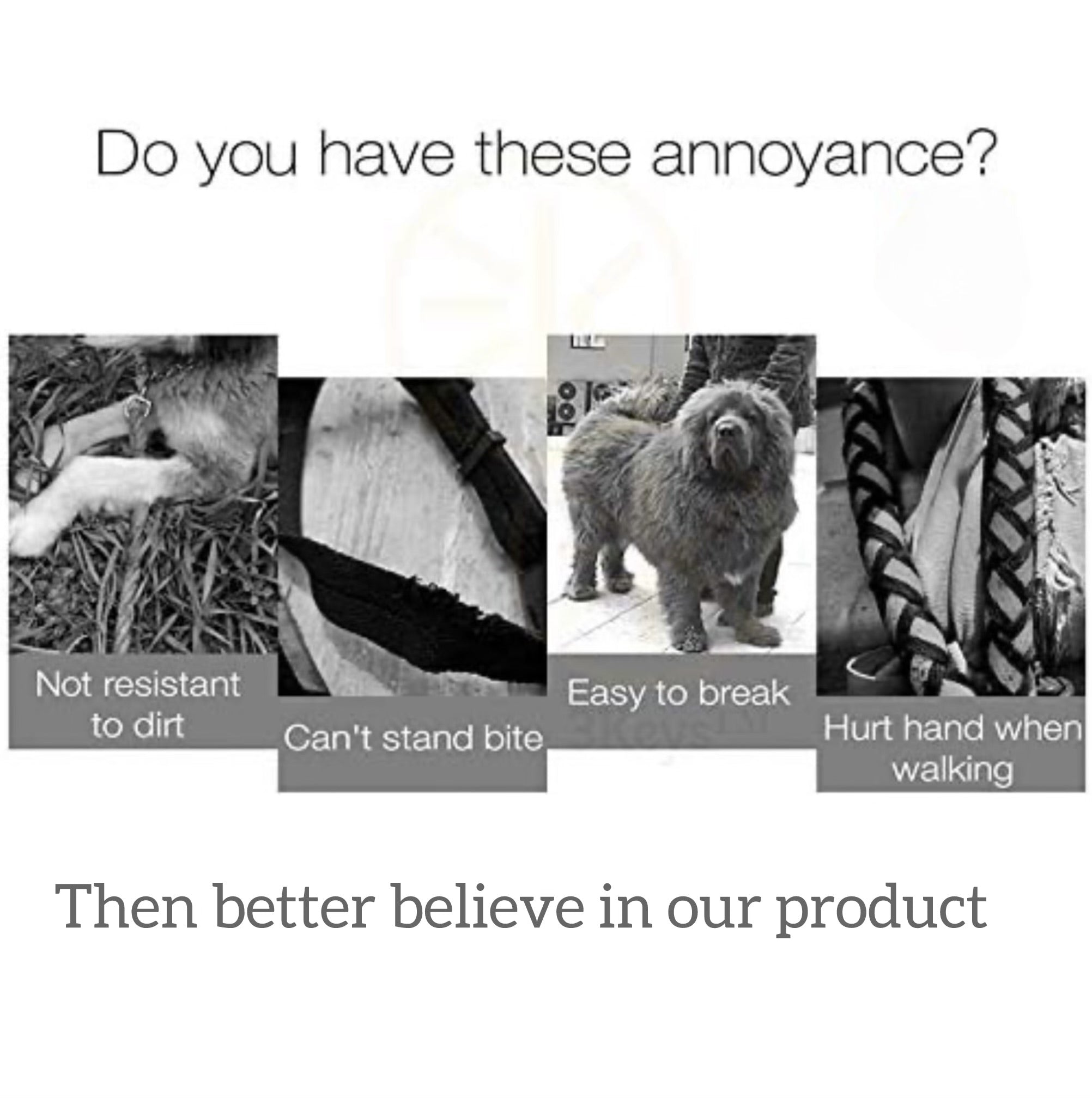 Superior quality Gold plated Dog chain diamond cut Cuban design long lasting,solid metal