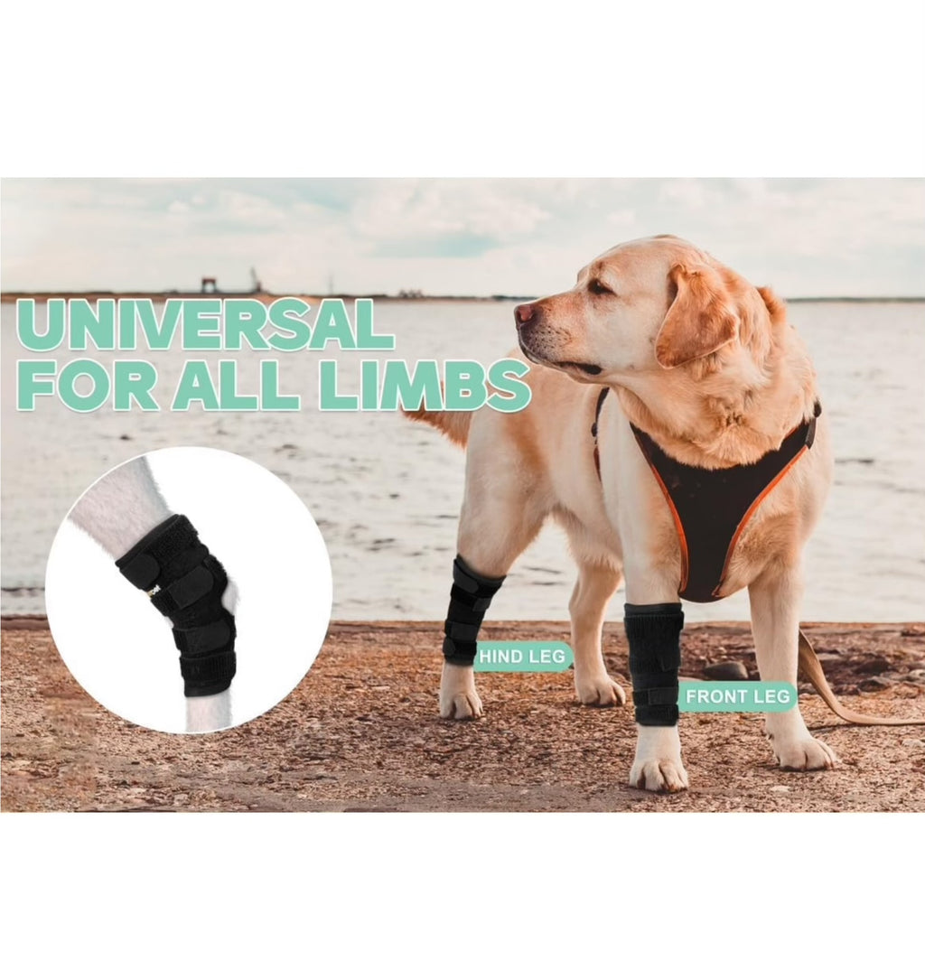 Petability Canine Splint Brace for Rear Legs with Safety Reflective Straps, Joint Warps Support Help Hind Legs Injuries Sprains Arthritis Torn ligament (1 Pair)