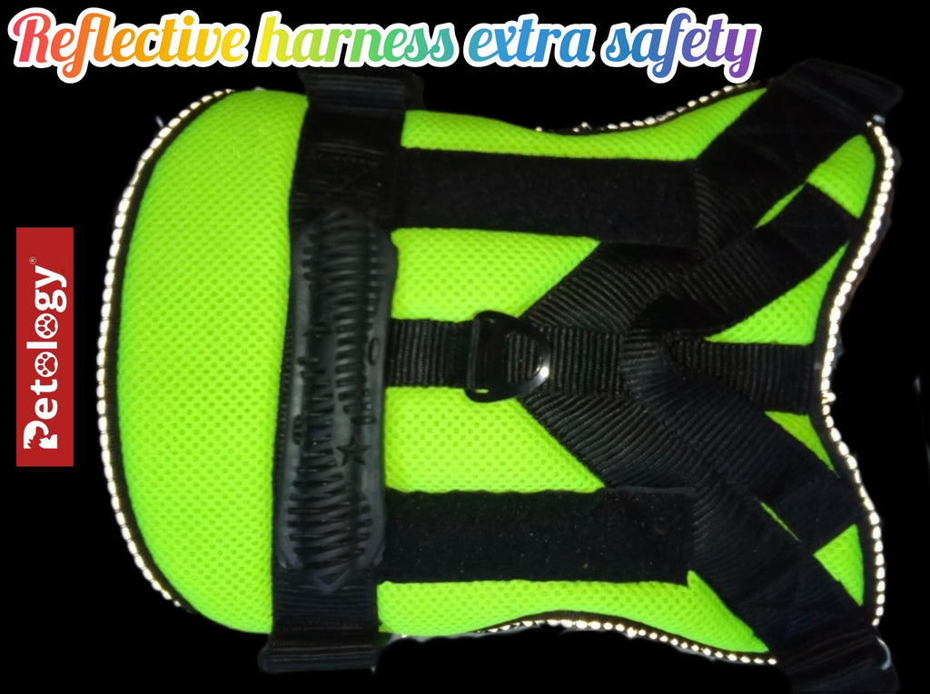 Reflective harness with Petology branding on a black background