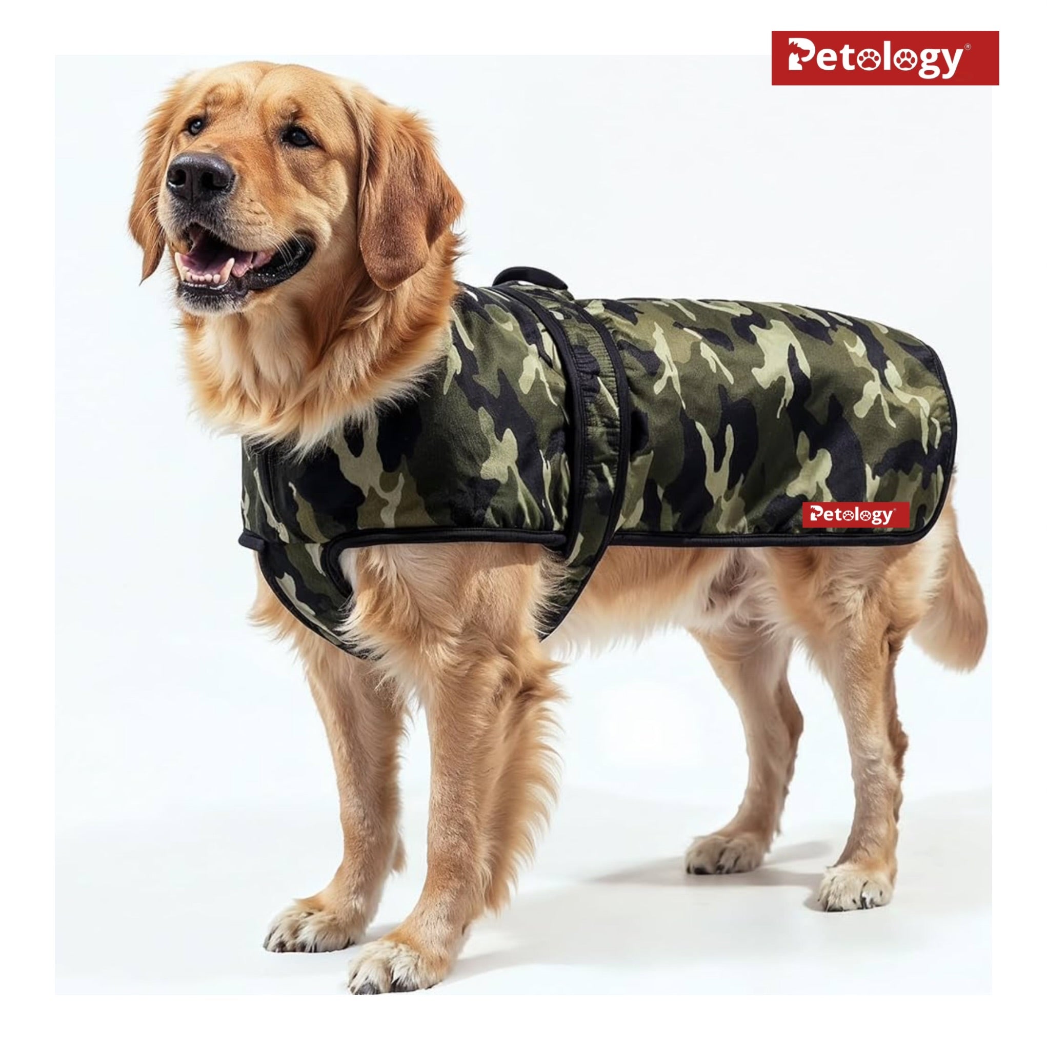 PawPet Breathable Warm Coat for Adult-puppy Dogs Windproof Adjustable Easy to Clean (QDT) QUICK DRY TECHNOLOGY Ideal for Cold Weather Indoor or Outdoor(Colors vary)