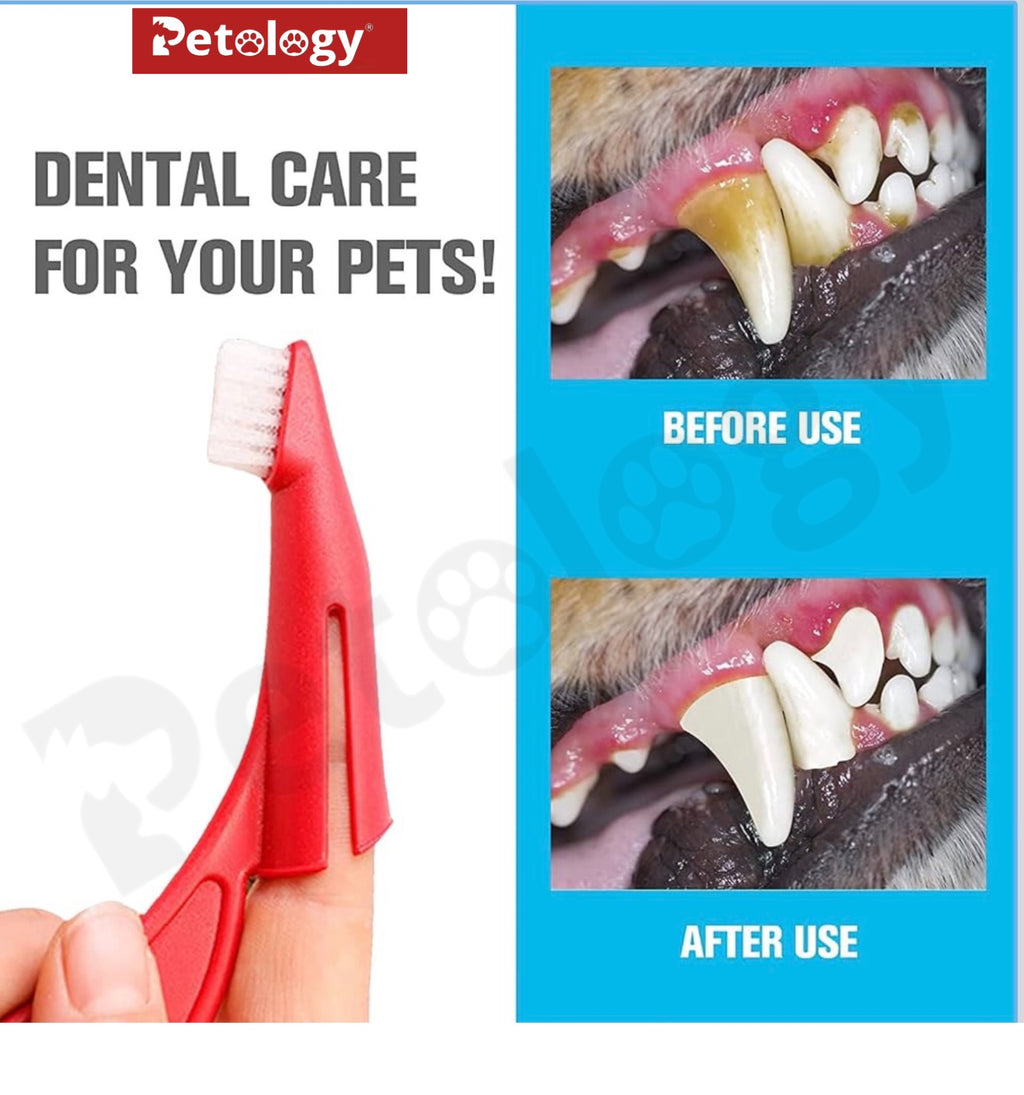 HiHygiene Ultra soft 2-in-1 Tooth brush designed for all kinds Dog breeds small,medium,Large & Extra large size Dogs easy to use glide through brush with better grip enhanced oral care of loved ones(Color vary)