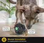 Giggle Interactive Squeaky Dog Ball, Funny Giggle Sound When Rolled or Shaken, Interactive Toy for Small, Medium & Large Dog, Treat Dispensing toy as well