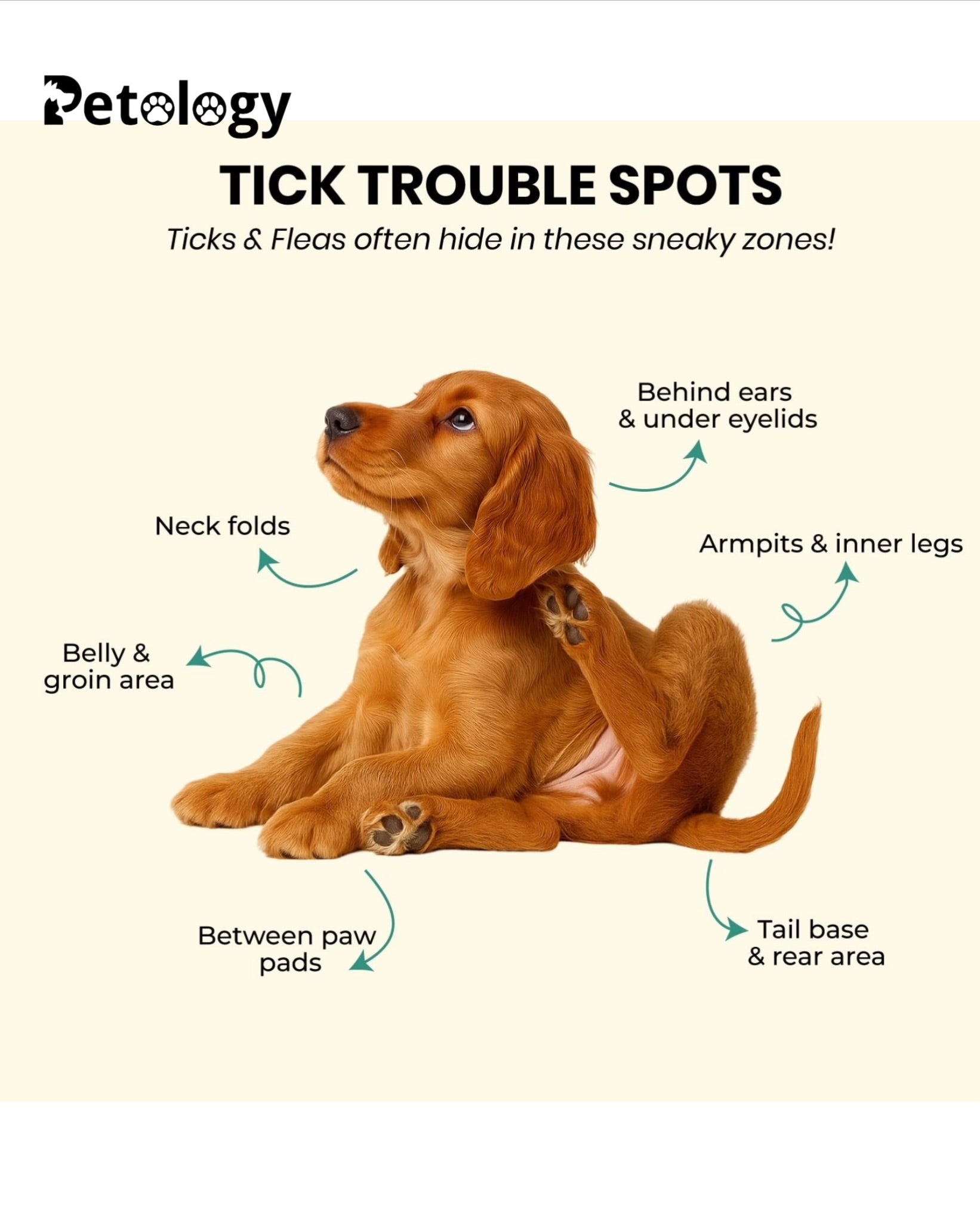 BOW BOW  100% Natural Anti-Tick, Lice & Flea Dogs & Cats Powder for Soft & Conditioned Coat No Rinse Anti-Itching ,Dog Powder for Ticks and Fleas – All Breeds-105 Gm