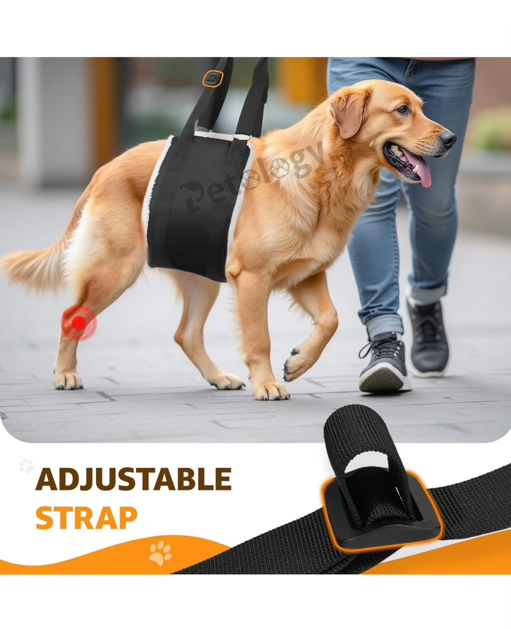 Petability Adjustable Dog Lift Harness ,Sling for Large Dogs Leg Support Soft Lift Support and Rehab Harness for Weak Rear Legs, Helps Senior, Injured, Disabled & After Surgery Dogs medium,large & xtra large breeds