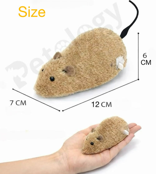 6-in-1 Cat Toy Combo Keep Your Cat Happy Active and Entertained Ultimate Playtime Bundle for Curious Cats