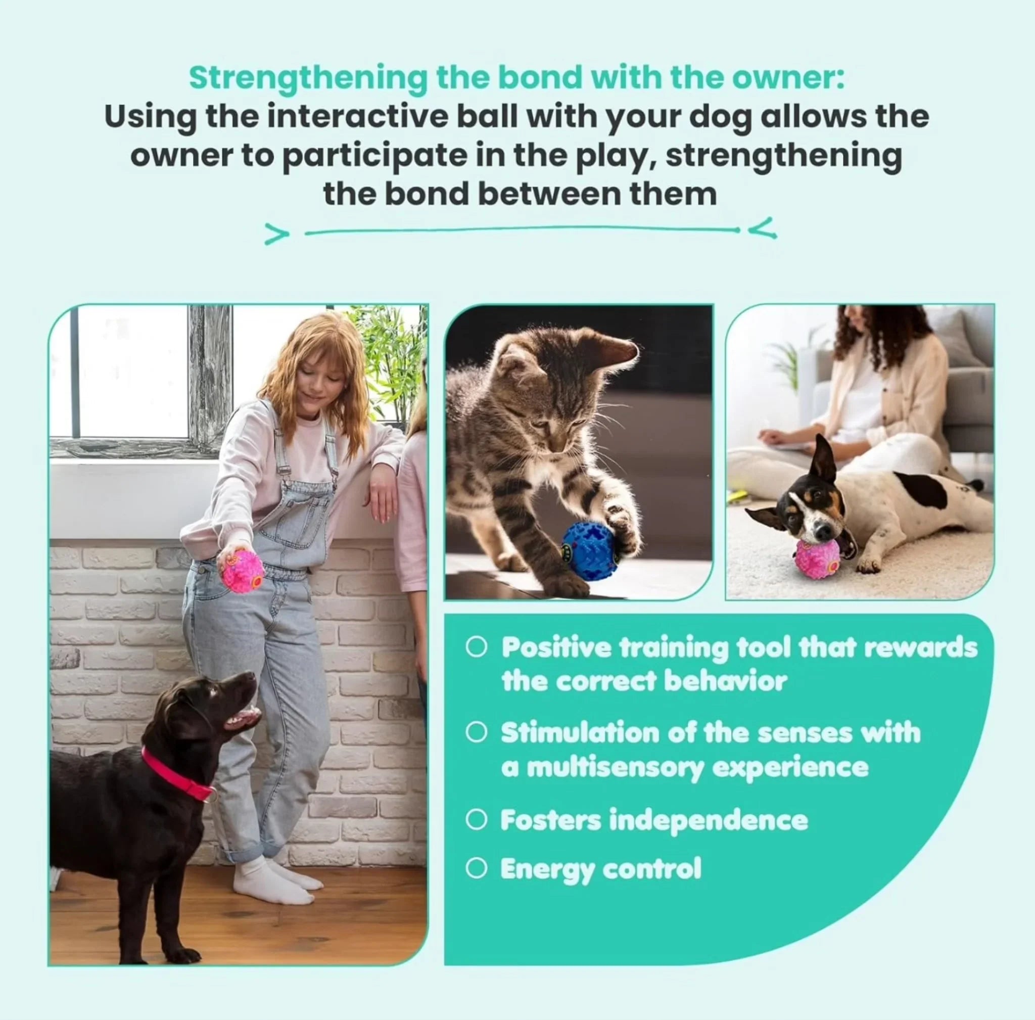 Giggle Interactive Squeaky Dog Ball, Funny Giggle Sound When Rolled or Shaken, Interactive Toy for Small, Medium & Large Dog, Treat Dispensing toy as well