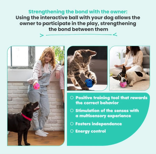 Giggle Interactive Squeaky Dog Ball, Funny Giggle Sound When Rolled or Shaken, Interactive Toy for Small, Medium & Large Dog, Treat Dispensing toy as well