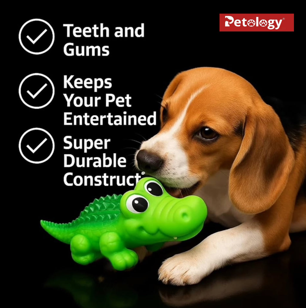 Playpet LATEX Crocodile Squeaky Dog Toy Durable Latex Chew Toy for Teething, Chewing Interactive Play Fun & Colorful Toy Cats- Adult Dogs-Puppies