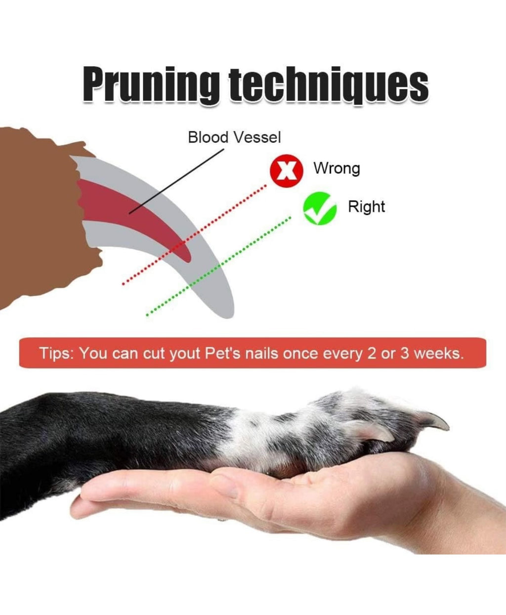 Dog Stainless Steel Nail Cutter Clipper and filer,Claw & Nails Clippers Grinder Grooming Trimmer for Small, Medium, Large dogs and cats