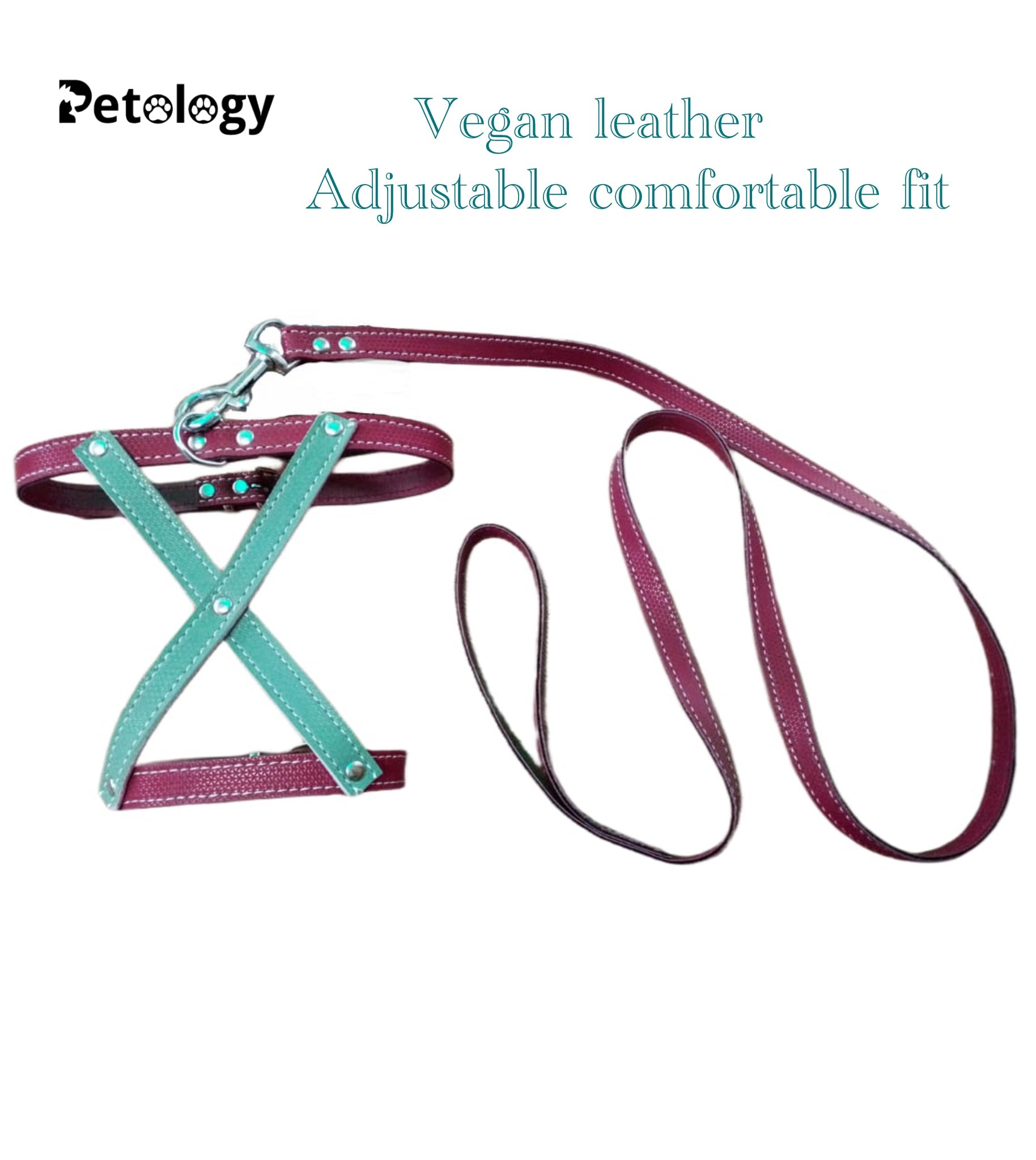 PETOLOGY Vegan leather premium (  any 2 set)with leash, puppy vest harness soft breathable,handle adjustable straps & comfy Buckle, No-Choke with Leash- 12 mm , 2-13 Kg for medium to small