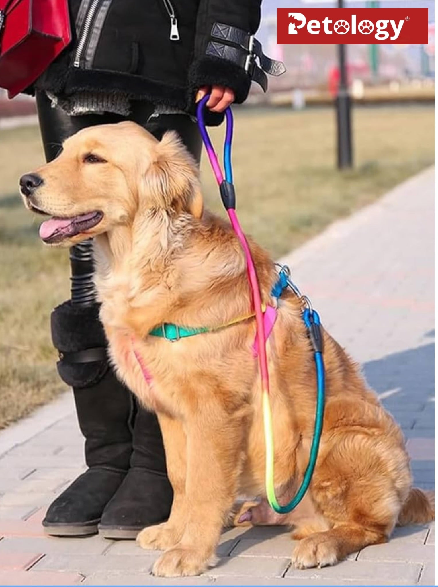 PAWPET Rainbow color No escape harness and Rope Leash adjustable Set, for Cats and Dogs (12 MM & 15 MM Set)