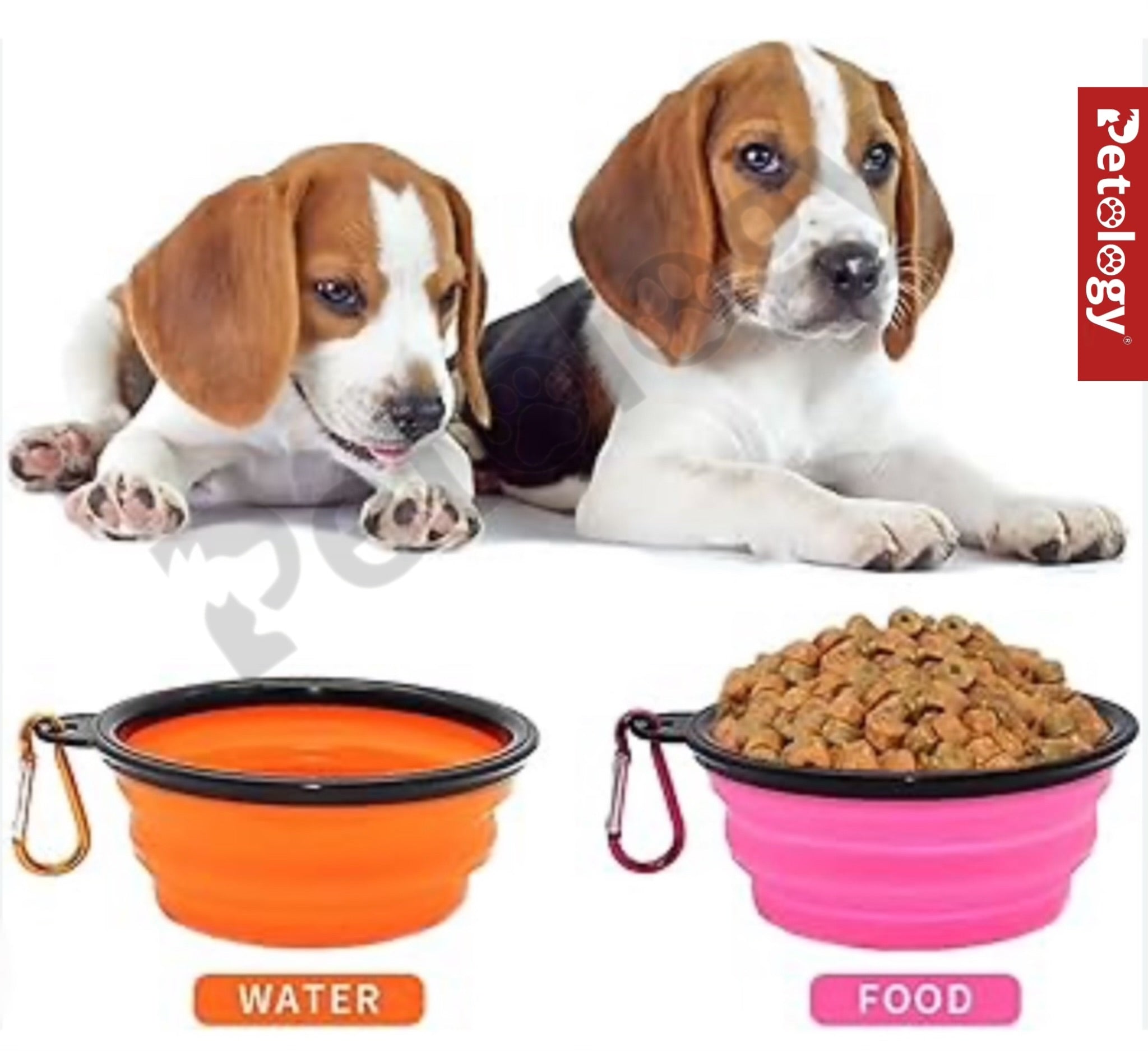 HI-health Travel made easy 2 pcs food & water Collapsible silicone Dog Bowl, Foldable Expandable Cup Dish for Food- Water Feeding Portable Travel Bowl, Free Pet ID-Tag