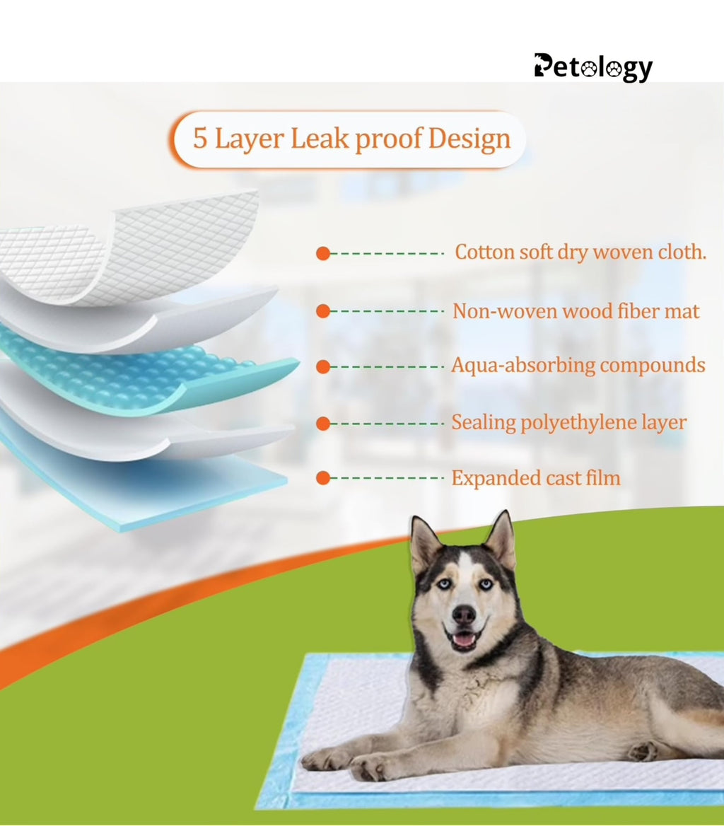 HIHYGIENE Dog Pee Pads 20 Count Potty Training Pads for Dogs, Leak-Proof Protection & Odor Control,Potty Training, Pet Training Pads