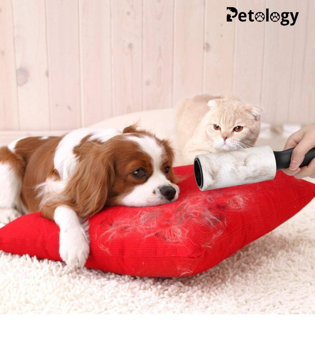 HiHYGIENE 2 Lint Remover with Handle, Protective Cover, Dog & Cat Hair Remover (60 Sheets) - Sticky Roller Brush for Clothes, Furniture, Carpet, Pet Fur, Dust, and Dirt.