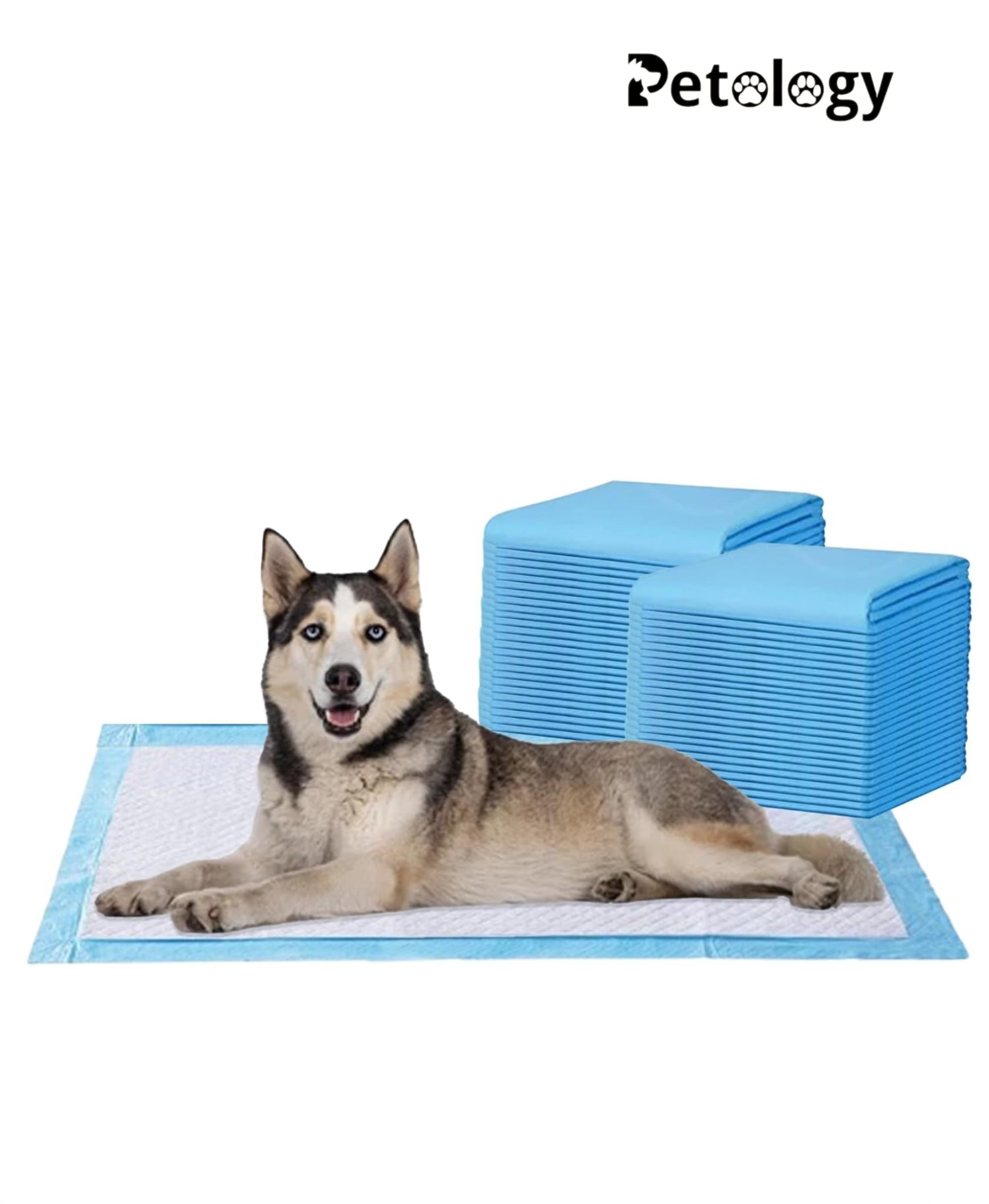 HIHYGIENE Dog Pee Pads 20 Count Potty Training Pads for Dogs, Leak-Proof Protection & Odor Control,Potty Training, Pet Training Pads