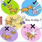 Penny Rubber Duck Squeaky Dog Toys for Small, Medium or Large Pet Breeds, Play Fetch, Reduce Separation Anxiety
